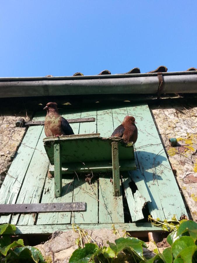 Petit Manoir De La Berthenlaire Bed & Breakfast Baincthun Exterior foto